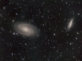 m81-82-jan-2009-rgblha-ids-web